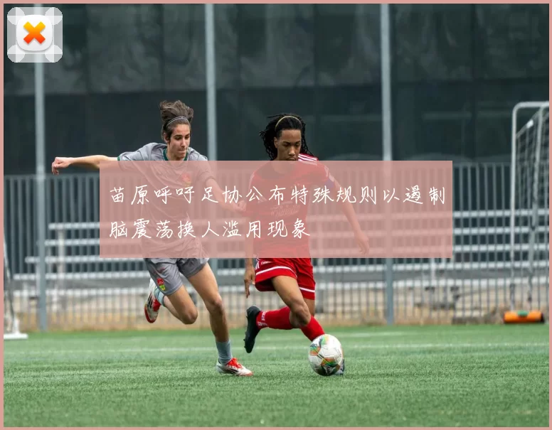苗原呼吁足协公布特殊规则以遏制脑震荡换人滥用现象